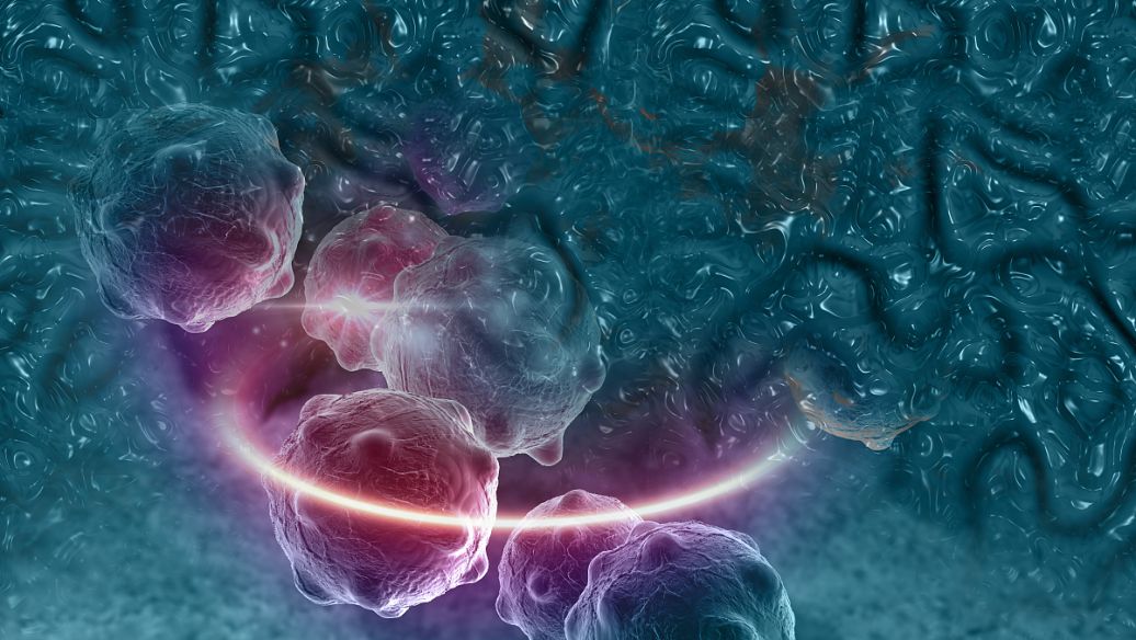 研究人员确定特定蛋白质如何调节肿瘤生长