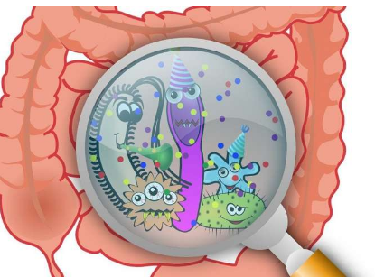 科学家将溃疡性结肠炎与缺失的肠道微生物联系起来