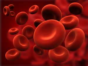 合作项目旨在研究生理流动条件下的红细胞