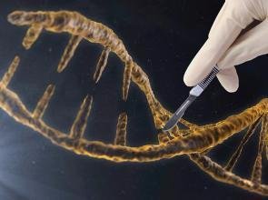CRISPR / Cas9基因编辑的基因组损伤高于思想