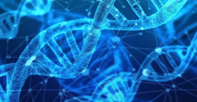 新型DNA剪切和粘贴工具可进行更大的基因编辑