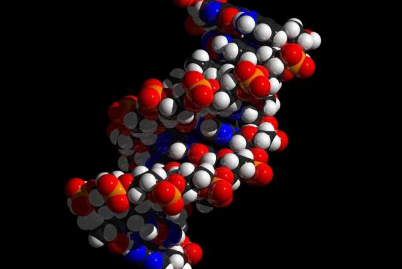 科学家开发出新的精密医学方法来治疗胰腺癌中受损的DNA