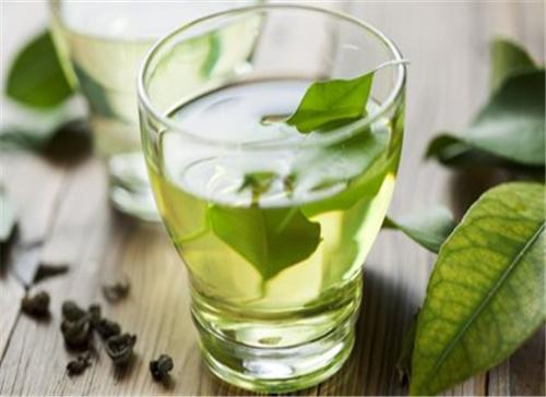 绿茶植物中的抗氧化剂可能是抵抗结核病的关键