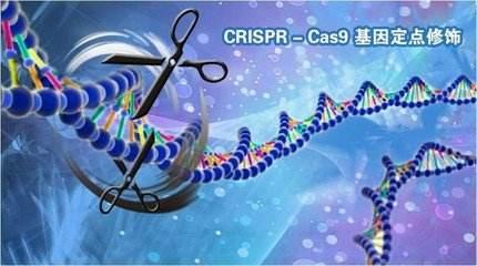 CRISPR / Cas9用于控制小鼠的遗传继承