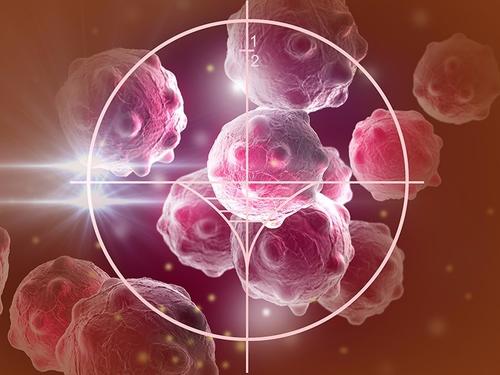 B细胞与有效的癌症免疫治疗有关