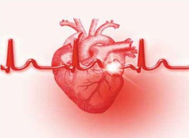 β受体阻滞剂可以阻止易患情绪引发的心房颤动