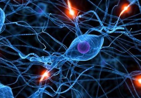 BrainHealth研究人员研究社会感知的神经化学