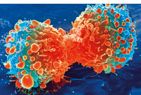 科学家表明药物可能会大大提高癌症免疫疗法的成功率