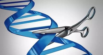 新的研究可以微调基因剪刀CRISPR
