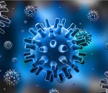 成人暴露于水痘可降低带状疱疹的风险 但不能提供全面的保护