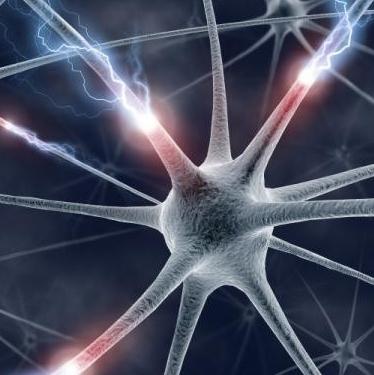 一项研究显示与失去控制有关的神经生物学机制