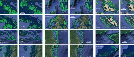 使用高级AI在全球范围内绘制的珊瑚礁的位置和范围
