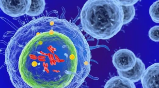 人类免疫系统可能在塑造微生物组组成中起关键作用