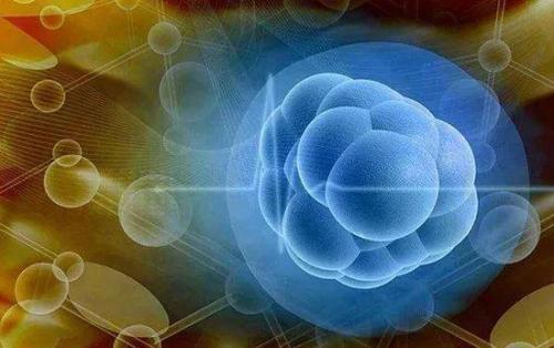 科学家发现了导致肾癌最常见形式的干细胞