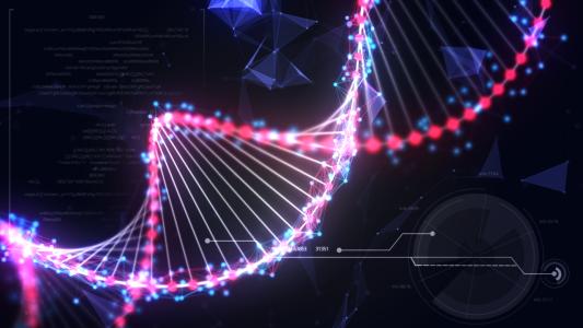 金属纳米颗粒破坏大脑DNA