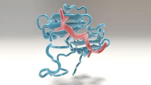 CU医学院的研究人员进行了关于前mRNA剪接的关键发现