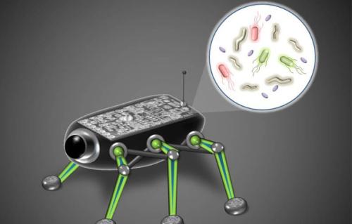 用电子导电聚合物涂覆细菌用于微生物燃料电池