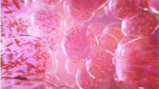 胚胎microRNA可以促进心脏细胞的再生