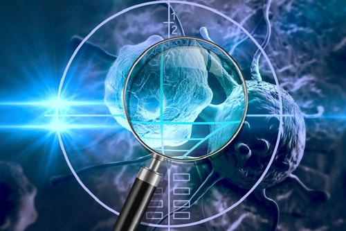 快速跟踪T细胞疗法与免疫模仿生物材料