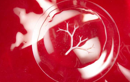 科学家将细菌用作微型3-D打印机