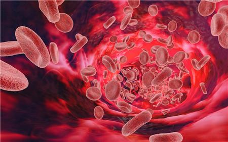 新型败血症治疗可通过中性粒细胞陷阱增强细菌捕获