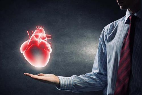数字心脏模型将有助于预测未来的心脏健康