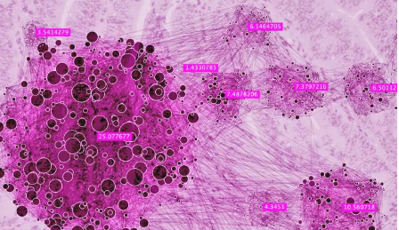 新的详细分子路线图增强了对抗子宫内膜癌的能力