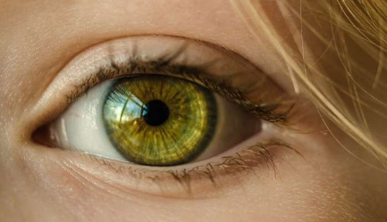 免疫调节回路可能在眼部疾病中发挥重要作用