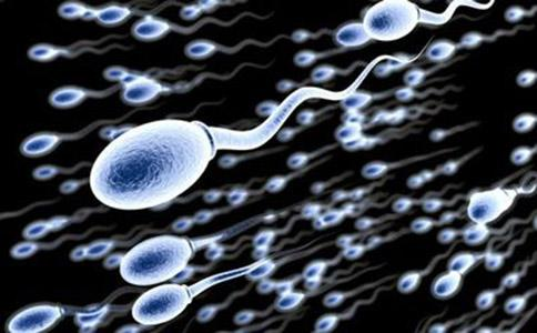 精子如何解开爸爸的基因组使其与妈妈的基因融合