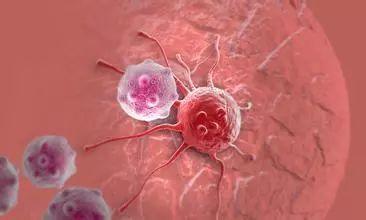 发现了一种调节各种肿瘤中癌症发展的分子