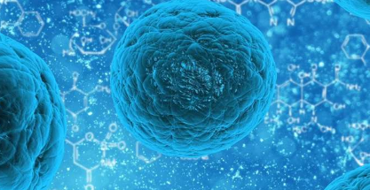 嵌合抗原受体T细胞已经改变了难治性血液癌症的治疗方法
