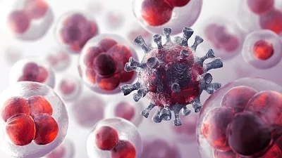 UAH研究可能会对免疫疗法和癌症治疗产生广泛影响