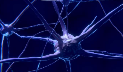 神经科学家发现可以帮助我们解释新情况的记忆细胞