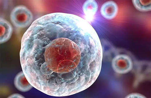 干细胞在急性髓性白血病复发中发挥作用