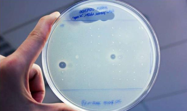 科学家必须减少实验中的抗生素使用
