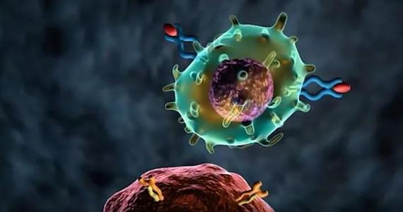 研究人员发现免疫疗法的潜在潜力