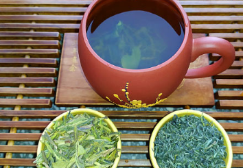 最新研究称 绿茶可能有助于对抗肥胖