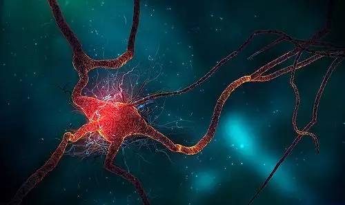 神经科学家发现人脑中受伤后激活的神经元脉冲
