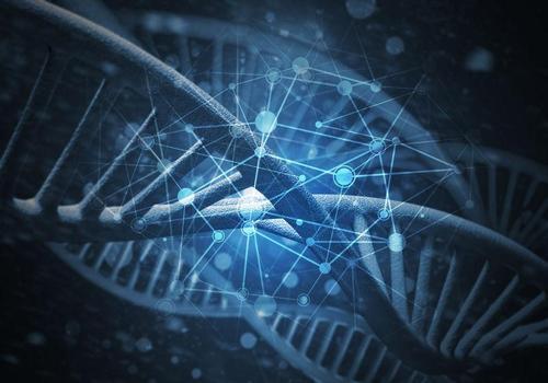 使用基于DNA的服务来了解其患多种疾病的风险