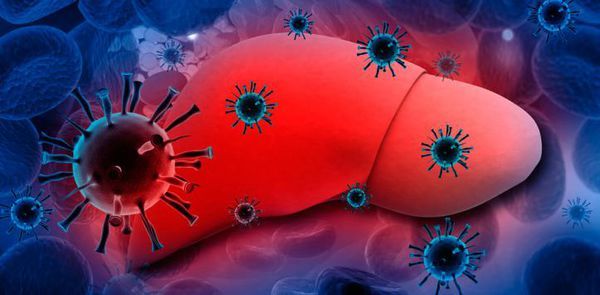 乙型肝炎在sh in中发现的异常病毒