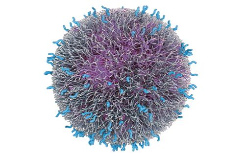 癌症的催化免疫疗法使用纳米粒子充当人工酶