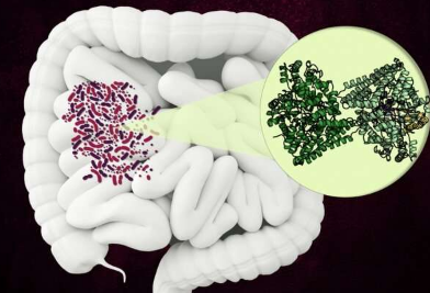 细菌酶可能成为抗生素的新目标