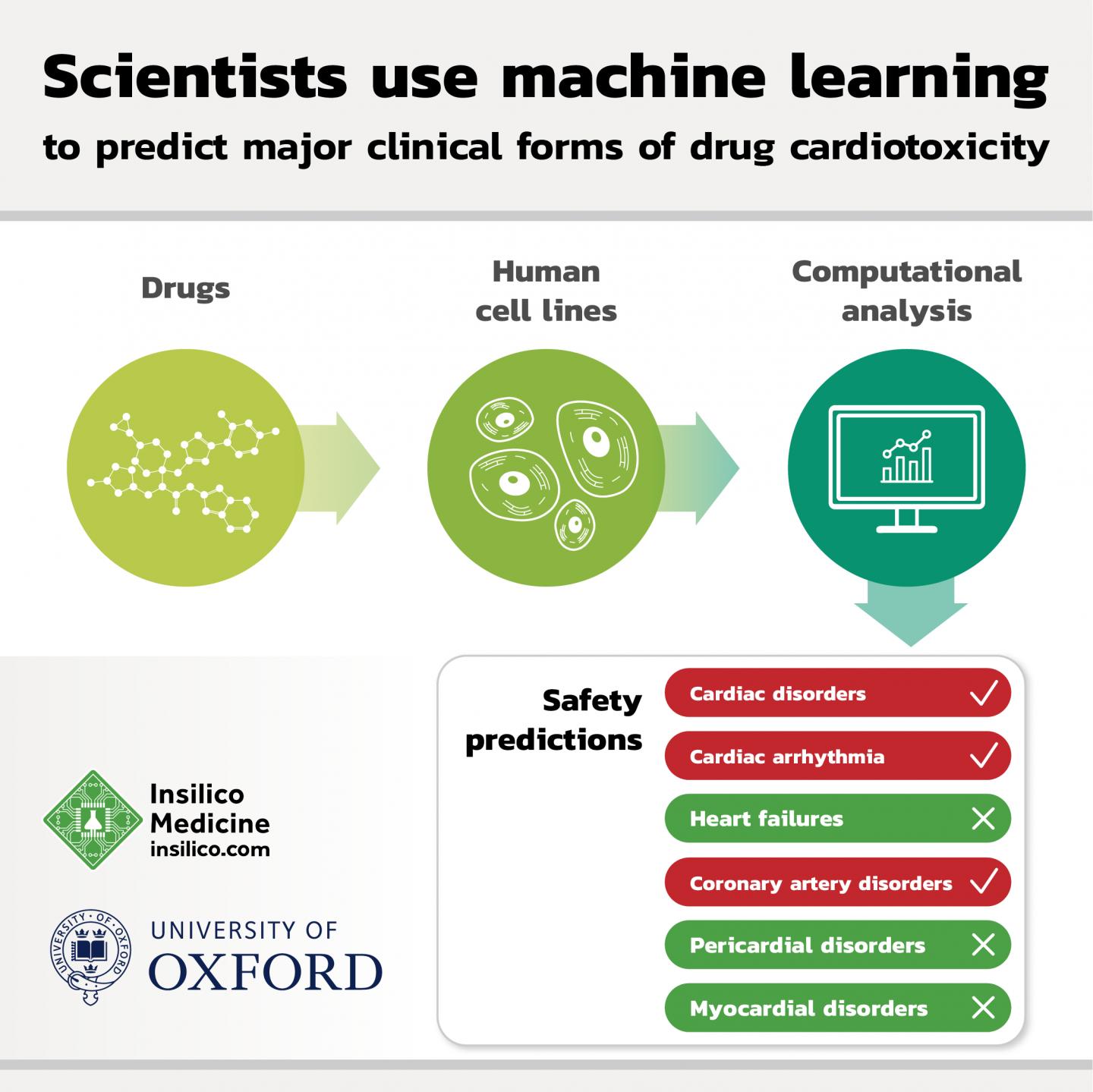 科学家使用机器学习来预测药物毒性的主要临床形式