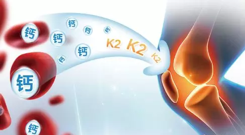 调节钙离子的分子守门员是肌肉功能的关键