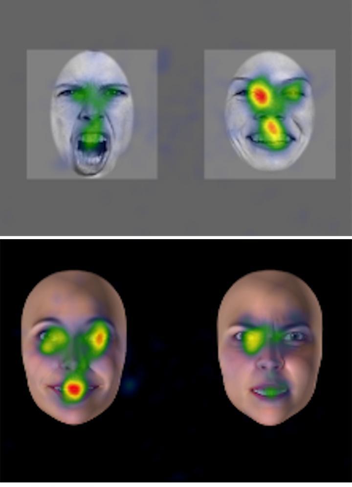 UNIGE的科学家追踪了儿童的眼球运动