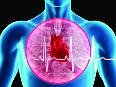 研究表明心脏骤停和心律不齐可能是由全身性疾病引发的
