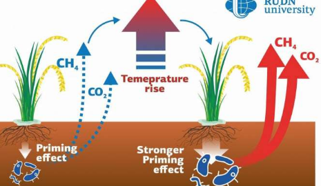 科学家表明全球变暖对稻田土壤温室气体排放的影响