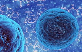 研究突破消除了对人类干细胞含有致癌突变的担忧