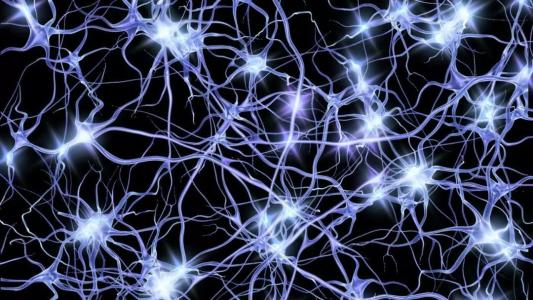 阿尔茨海默氏症患者的神经元会在大脑中形成十年的生命
