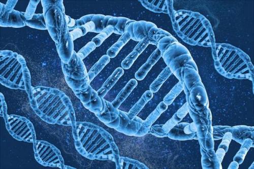 研究揭示了移民如何影响英国的DNA模式